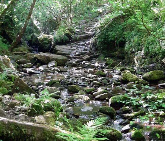 Ruta Los Corrales de Buelna